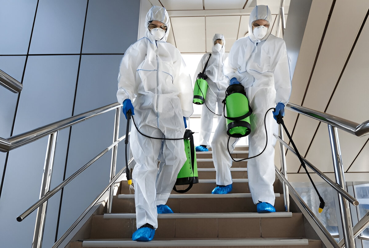 How a Mold Remediation Company Handles Toxic Black Mold Safely