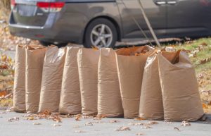 http://How%20Much%20Can%20Curbside%20Leaf%20Pickup%20Services%20Really%20Save%20You?