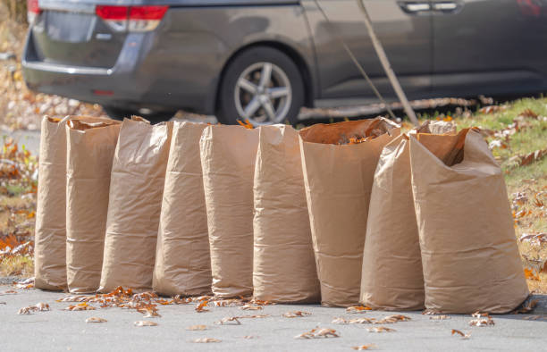 How Much Can Curbside Leaf Pickup Services Really Save You?