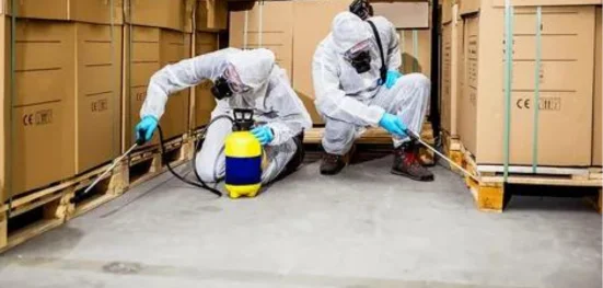 Pest Control Aurora Safe, Real Help to Keep Pests Away