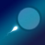 sperium-2505954_1280