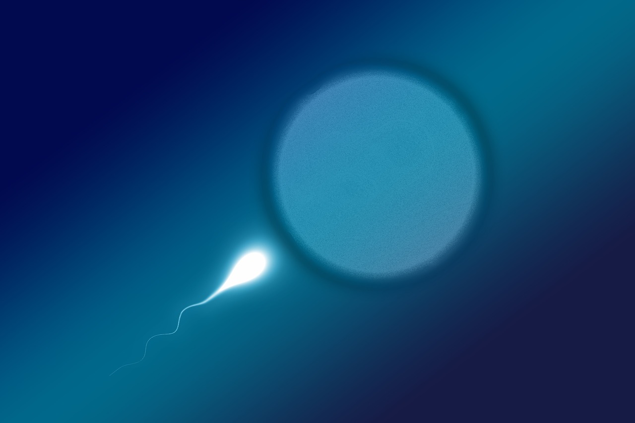 Enhancing Sperm Quality: Lifestyle and Dietary Interventions