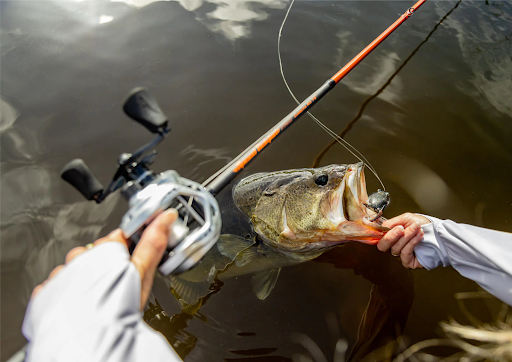 Bass Fishing Rods That Fit Your Travel Fishing Kit Easily