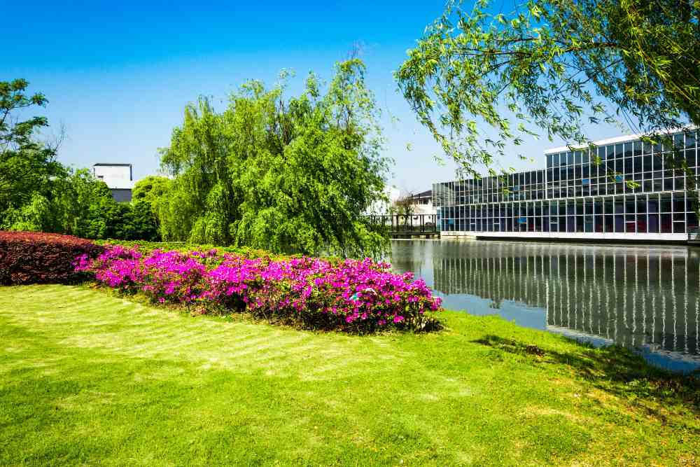 Clarksburg Commercial Landscaping: Expert Guide