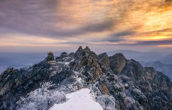 Rituals, Offerings, and Nature in Daoist Spirituality