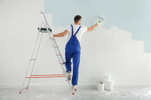 Book Affordable Auckland Painting Services for a Stunning Makeover